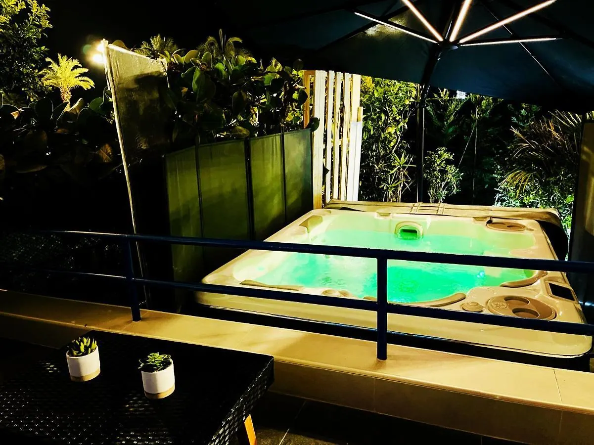 Luxury Garden Jacuzzi Promenade Apartment Nice 0*,